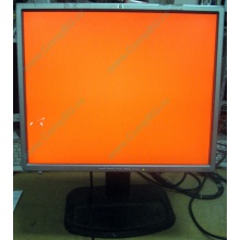 Монитор 19" TFT HP 1955 (DVI в Ивановском, USB-хаб) "квадратный" (Ивановское)