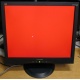 Монитор 19" ViewSonic VA903b (1280x1024) есть битые пиксели (Ивановское)