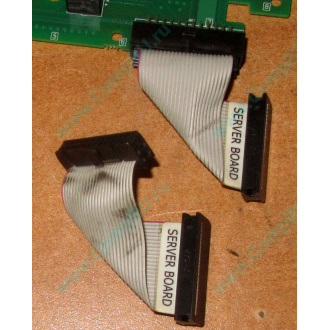 6017B0045701 Шлейф 24 pin для Intel C74974-401 T0043401-B01 корпуса SR2400 (Ивановское)