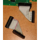 6017B0045701 Шлейф 24pin для Intel C74974-401 T0043401-B01 корпуса SR2400 (Ивановское)