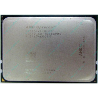 AMD Opteron 6128 OS6128WKT8EGO (Ивановское)