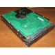 Жесткий диск 300Gb 15k Seagate Cheetach ST3300656SS 15K.6 Dell 9CH066-050 6G SAS (Ивановское)