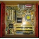 Материнская плата Asus P5L-VM 1394 s.775 (Ивановское)